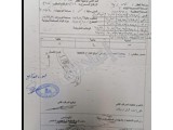 للبيع ارض مرخصة للبناء في مصيف صلنفة في جبال اللاذقية