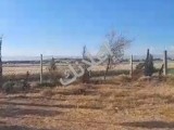مزرعة بريف دمشق بلغزلانية طابو ٢٠٠٠م معا بير وسجر زيتون ومسورا 