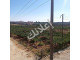 موقع مميز بالقرب من مدخل فيروزة