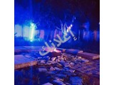 مزرعة (يائيل) للاجار طريق المطار الجسر الخامس جانب مجمع الجليلاتي  