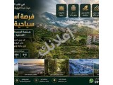 للبيع أرض استثمارية سياحية في صلنفة الجديدة - اللاذقية