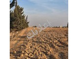 أرض زراعية للبيع في القصير بمساحة 20308 م²