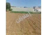 ارض زراعية طابو اخضر  ريف دمشق خلف مدرسة الرؤية الجديدة 