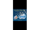 السواقة حلم كل إمرأة  حققي حلمك ولاتخافي  