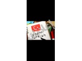 دروس خصوصية في اللغة التركية بدمشق مدرس مختص خبرة خمس سنوات