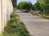 مزرعة للبيع شبعا طريق لمطار قريبة من سكن 800م طابو ضمن مجمع