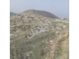 أرض زراعية للبيع في ريف جبلة _منطقة المنيزلة- اللاذقية مساحة 4344 م²