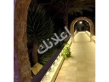 فلل للبيع في كفر بطنا، 1200 م²، 1 غرفة، 2 حمام