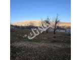 أرض زراعية للبيع في الزبداني - 1300 م² 