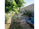 مزرعة 1200 متر طابو للبيع في المحمدية - فرصة استثمارية رائعة