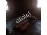 بيع بيت عربي في كفر لوسين، إدلب - 300 م²، 2 غرفة، طابو نظامي