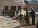 للبيع ڤيلا طريق لمطار منطقة شبعة طابقين بحاجة لصيانة مخدمة مرخصا