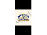 تسجيل كتب ومحاضرات للمكفوفين.