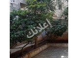 بيت عربي للبيع 200 م² بالعباسية قريب من الستين