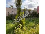مزرعة للبيع في زبدين 630 م² مع بناء حديث و3 غرف نوم
