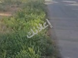 للبيع ارض طريق مطار دمشق نسق ثاني 220دنم طريق نضامي طابو 