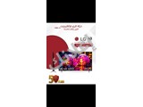 شاشة LG بحجم 43 ﺑوﺻﺔ 
