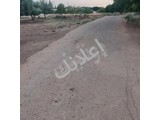 للبيع أرض مساحة 11700م