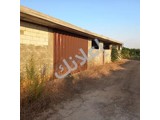 للبيع مبقرة مرخصة اصولا في اللاذقية  الريف الشمالي 