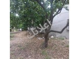 للبيع  2500عالشارع لرئيسي برأس شمرا شارع لمطاعم. 