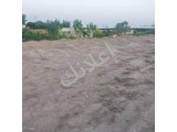 أرض زراعية للبيع في كرم الدعدع - 600 م² بحلب