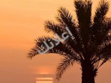 شقة 120 م² للبيع في مركز داريا بريف دمشق بسعر 53,000$