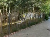 للبيع مزرعة قريبا من خدمة طابو بلمليحة بير مي خاص جاهزا  