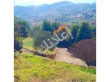 مزرعة للبيع في كسب، اللاذقية بمساحة 2750م²