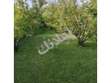 للاجار مزرعة 3 غرف وصالون خدمات سوبر كراج خاص ريف دمشق الزبداني