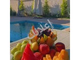 للاجار مزرعة طريف الزبداني بعد سكة القطار