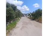 مزرعة في جبلة/اللاذقية 