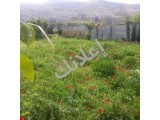 فلل للبيع في مضايا - 2500 م² مع 1 غرفة وصالة