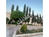 للبيع ڤيلا طريق لمطار جنب قصر لمئتمرات ١٠٠٠م طابو اخضر مرخصا