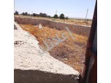 بيت للسكن مع ارض زراعية وحوش لتربية المواشي 
