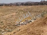 للبيع ارض بعد استراد لمزا بدمشق طريق سومريا ٥ دنم طابو اخضر 