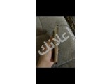 السلام عليكم  14pro max  79? 128gk مو مفكوك