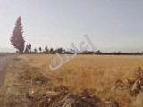 ارض زراعية للبيع طريق المطار حتيتا تركمان 