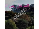 للبيع في طرطوس الصفصافة ارض ٧ دونم ضمنها بيت دوبلكس 