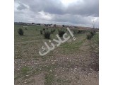 للبيع ارض طابو اخضر اسهم 918سهم  خمس دلم و200متر مخطط تنظيمي 