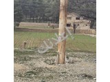 أرض زراعية للبيع في مركز الزبداني - 5000 م²