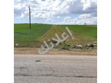 أرض زراعية للبيع في مركز اعزاز - 12000 م² - طابو نظامي