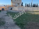للبيع ارض 3دنم طابو اخضر مسورا طريق لمطار جسر 5 سعر دنم ٧٥ الف$