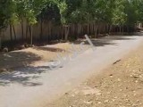ڤيلا سكنية للبيع 4دنم طريق لمطار دمشق طابو اسجار مثمرا مسابح كاملا