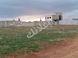 ارض للبيع طابو اخضر مساحة من دنم الى دنمين