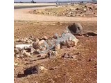 للبيع ارض على طريق حلب غازي عنتاب