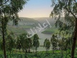 1500 (دونم) اوتوستراد السلام دير ماكر واجهة 800 متر على الأوتوستراد