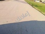 ارض للبيع طابو اخضر 2400سهم نضامي 14دنم بيرين مي علا شارع 