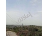 أرض سكنية للبيع في النقيب، طرطوس - 2390 م²