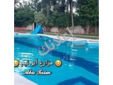 البيت الصيني 
