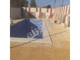 مزرعة بالدير علي مسبح وغرفة ومنافع وكرفانة مساحة ٥٢٠ متر مربع